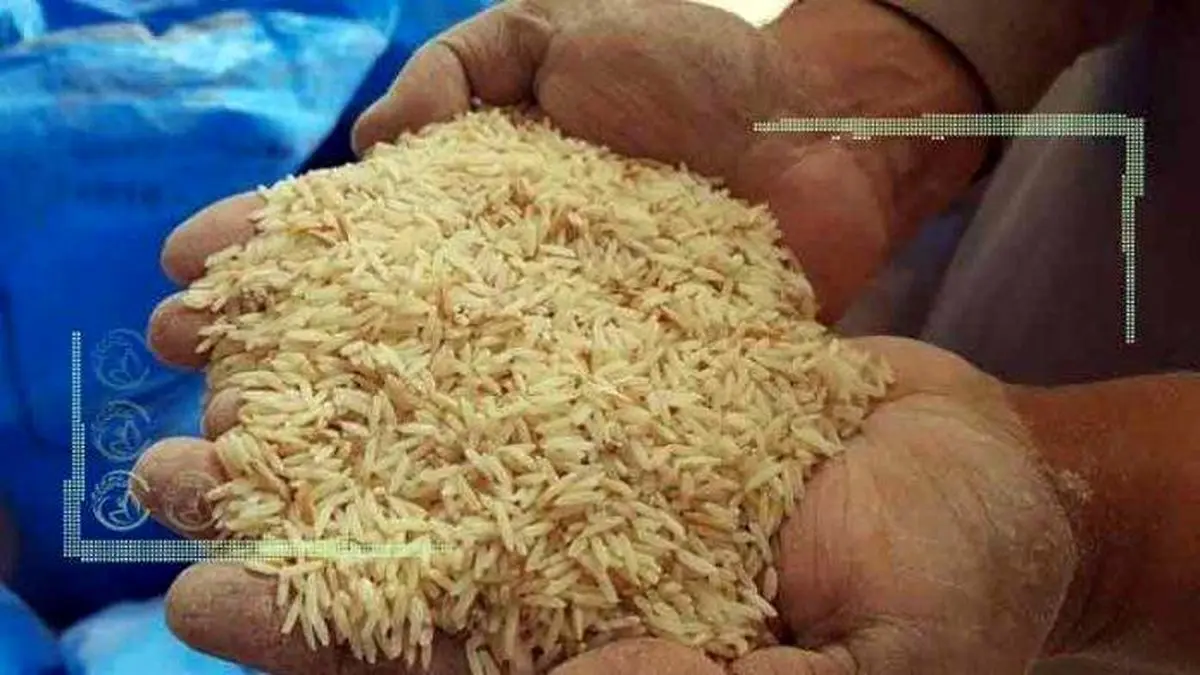 ترخیص 200 هزار تن برنج با هدف تنظیم بازار