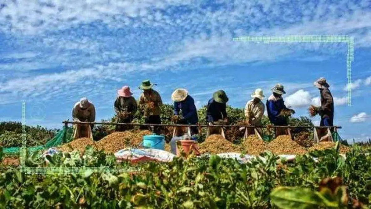بررسی رشد تولید محصولات کشاورزی در کتاب سال فائو 2021