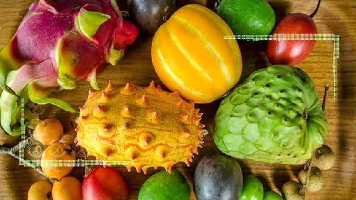 ممنوعیت واردات مجوزی برای قاچاق میوه به کشور