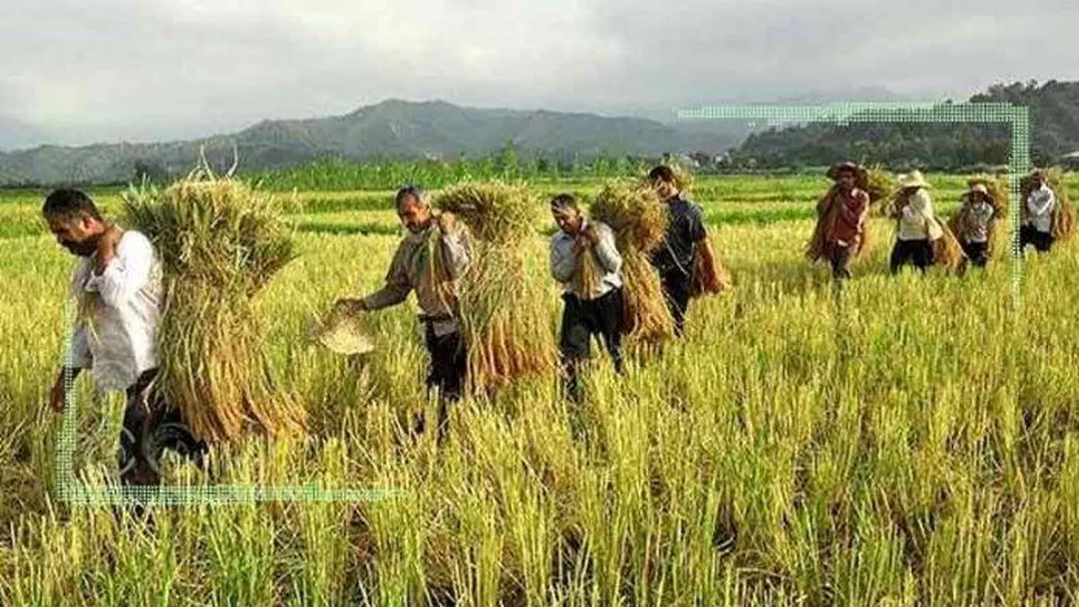 گذر از کشاورزی سنتی تنها راه برون رفت از تنش‌های آبی