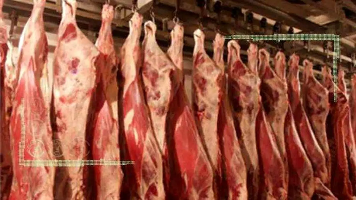 واردات ۱۰ هزار تن گوشت گرم جهت تنظیم بازار