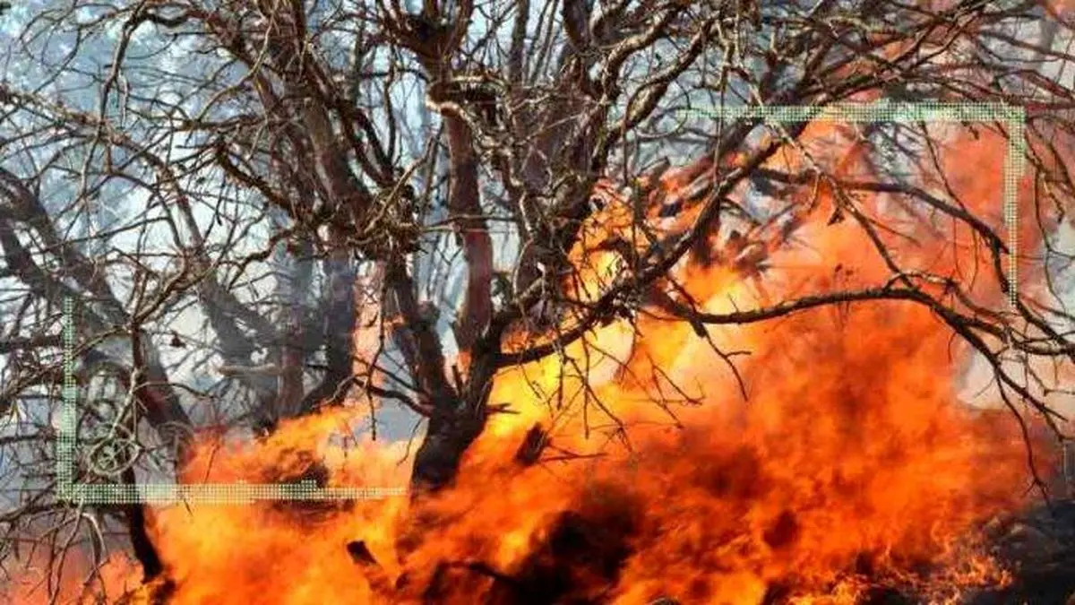 آماده‌باش برای فصل جنگل‌سوزی