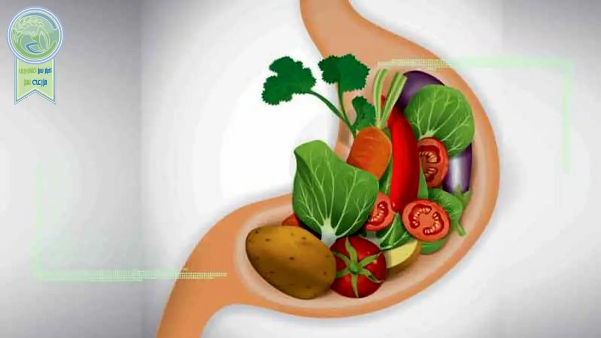 تاثیر استرس بر الگوی غذایی افراد