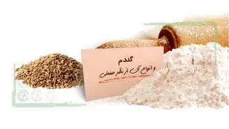 گندم و انواع آن از نظر صنعتی+ جدول