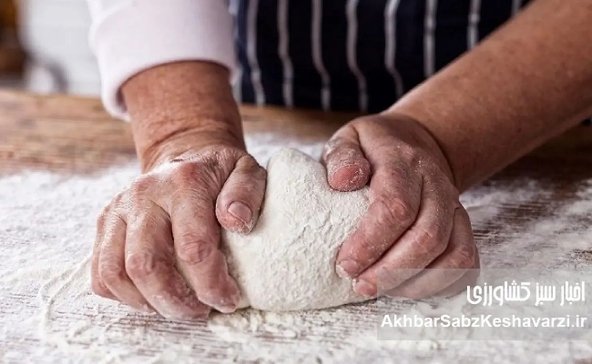 نان را گران نکنید؛ یارانه را هوشمند کنید