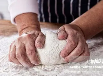 نان را گران نکنید؛ یارانه را هوشمند کنید