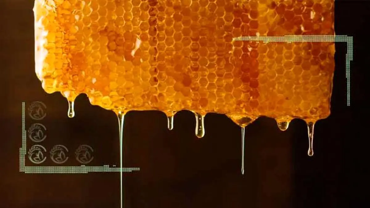 برای خرید عسل چقدر هزینه کنیم؟