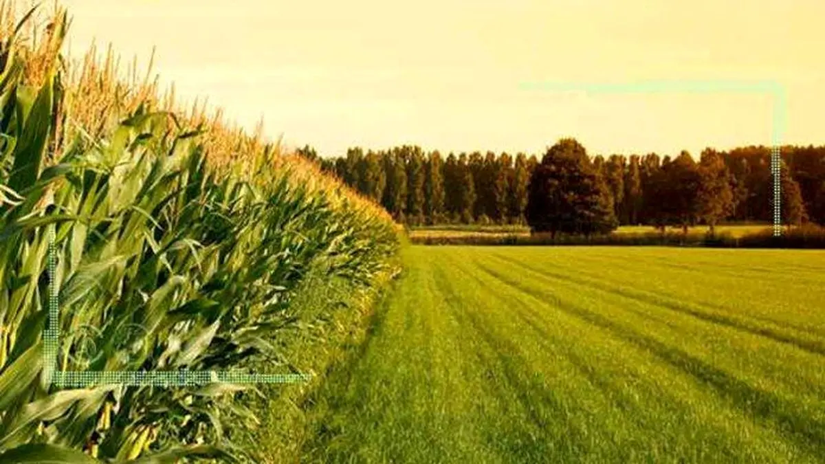 کشاورزی کشور را دریابید