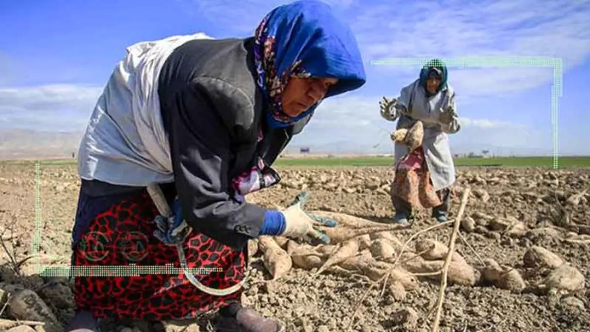 کشاورزان کشور هر روز گرفتارتر می شوند