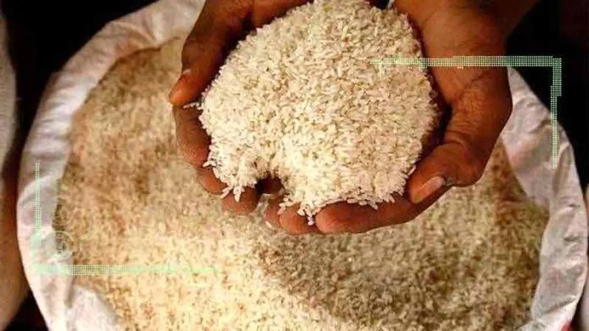 قیمت برنج عمده فروشی ۸۰ تا ۹۰ هزار تومان