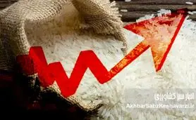 گرانی برنج ایرانی؛ چرا این کالای اساسی ارزان نمی‌شود؟