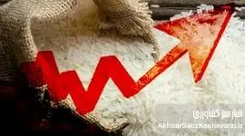 گرانی برنج ایرانی؛ چرا این کالای اساسی ارزان نمی‌شود؟
