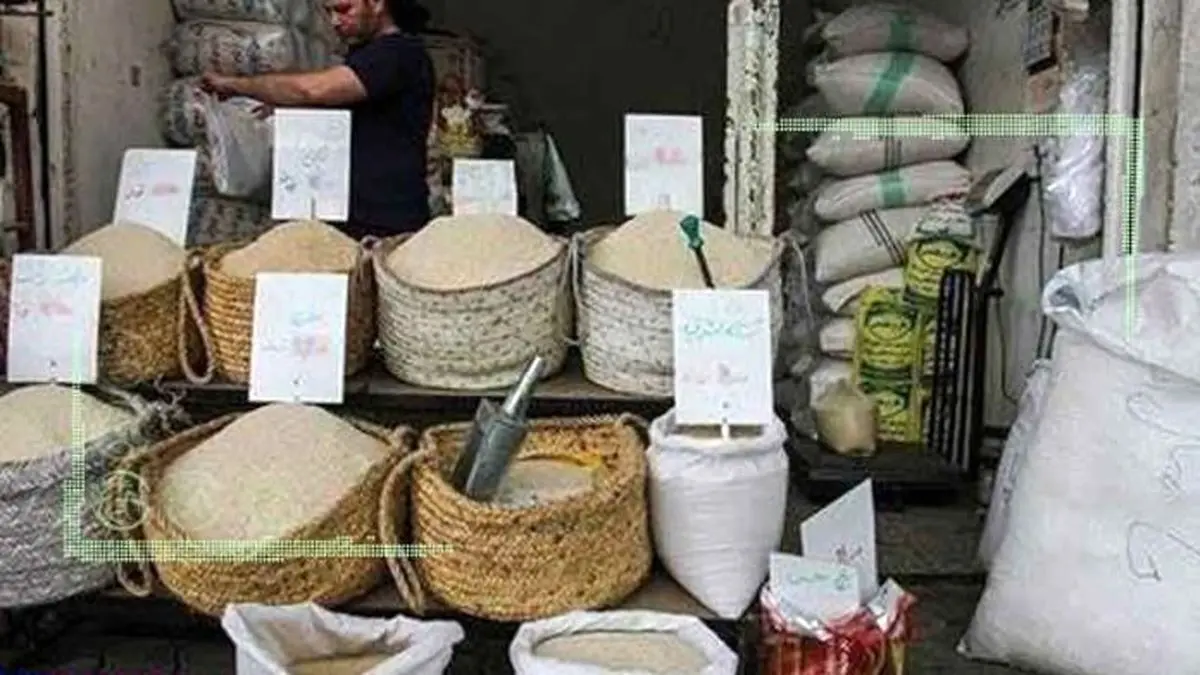 بازار راکد برنج در انتظار ریزش قیمت‌ها