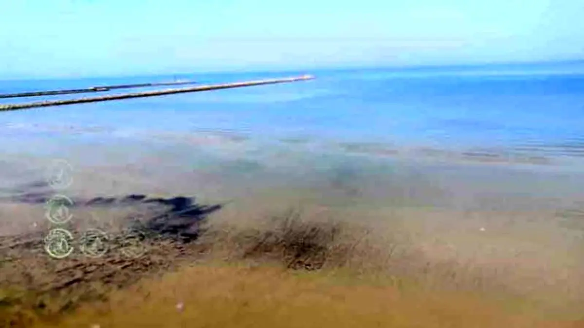 آلودگی نفتی در سواحل بوشهر