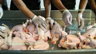 نرخ مصوب مرغ گوشتی کیلویی ۵۹ هزار و ۸۰۰ تومان
