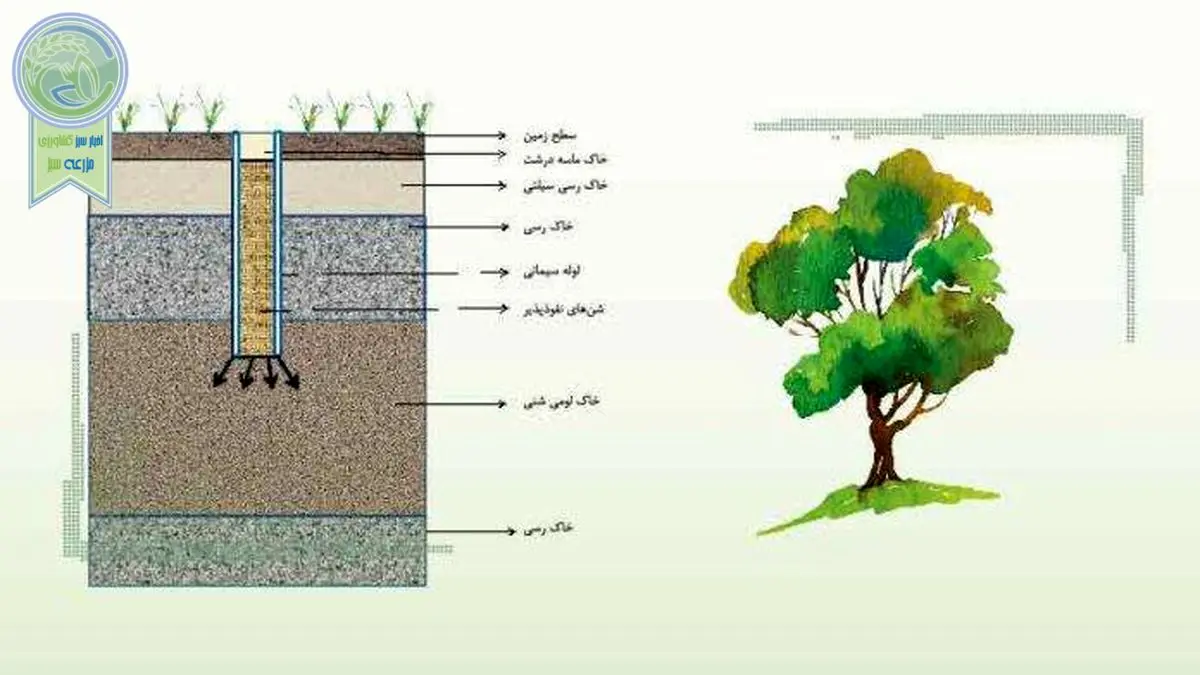 نقش زهکشی در بهبود وضعیت خاک