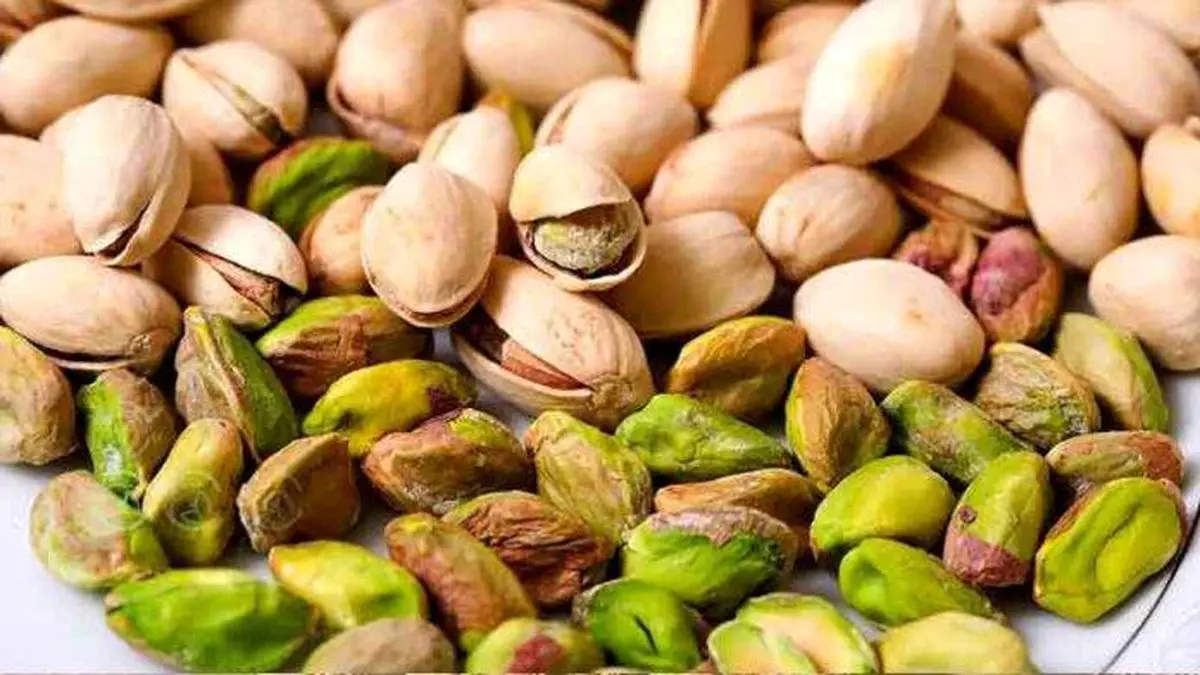 برومندی: میزان تولید پسته در واحد سطح پایین است