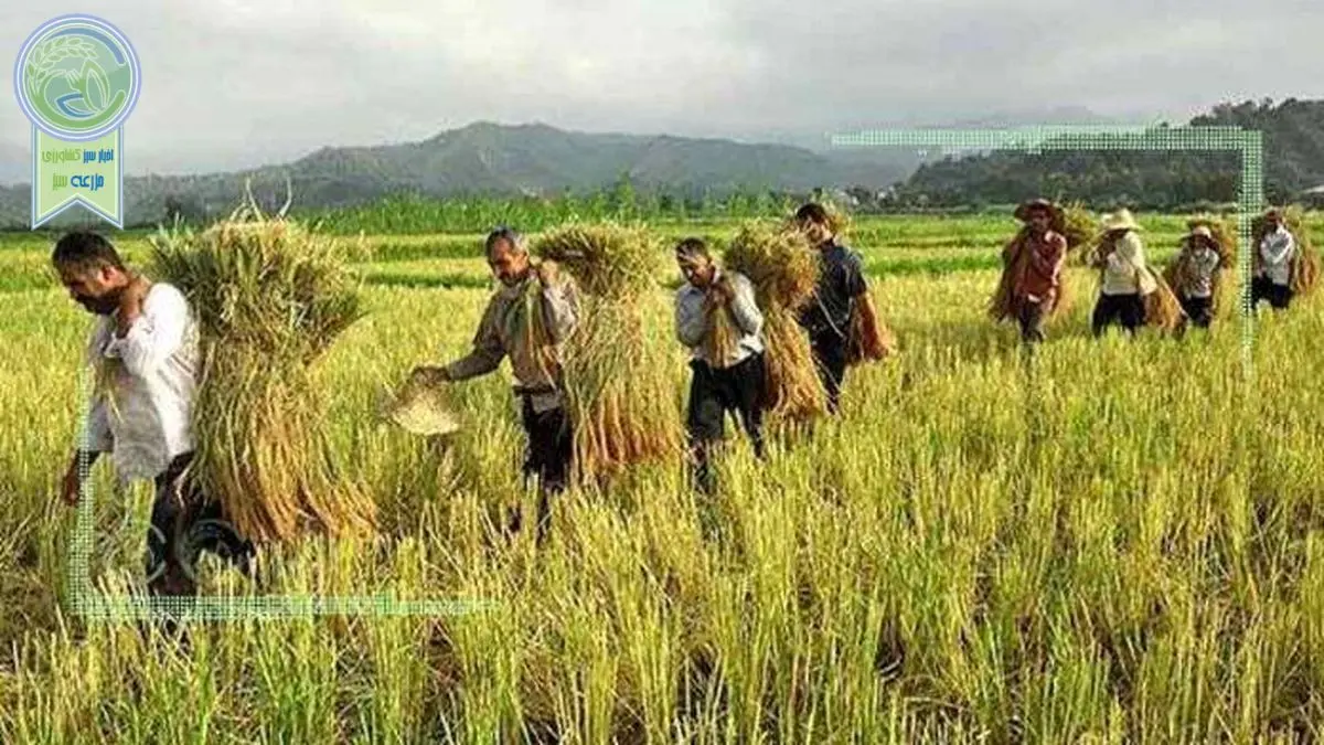 توسعه اقتصادی مازندران در گرو سرمایه گذاری است