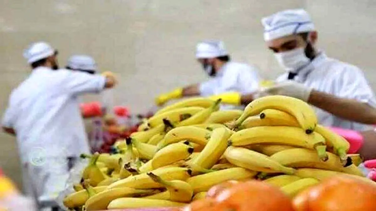 بازار موز در انحصار