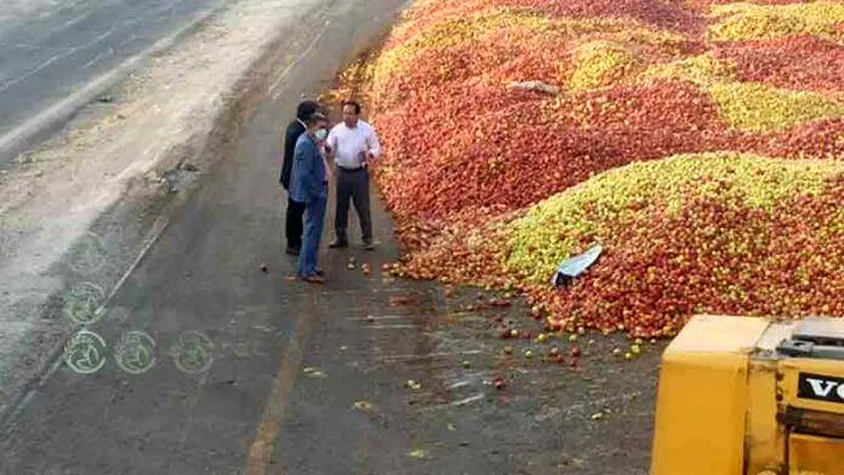 دسترنج کشاورزان در جیب دلالان