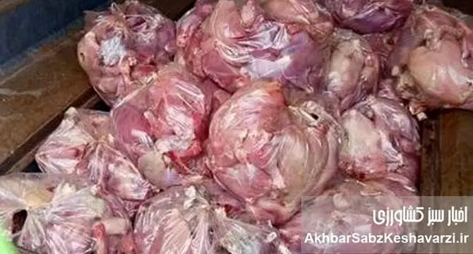 کشف ۸ تن گوشت مرغ قاچاق در لرستان؛ سفره مردم هدف قاچاقچیان