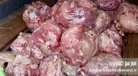 کشف ۸ تن گوشت مرغ قاچاق در لرستان؛ سفره مردم هدف قاچاقچیان