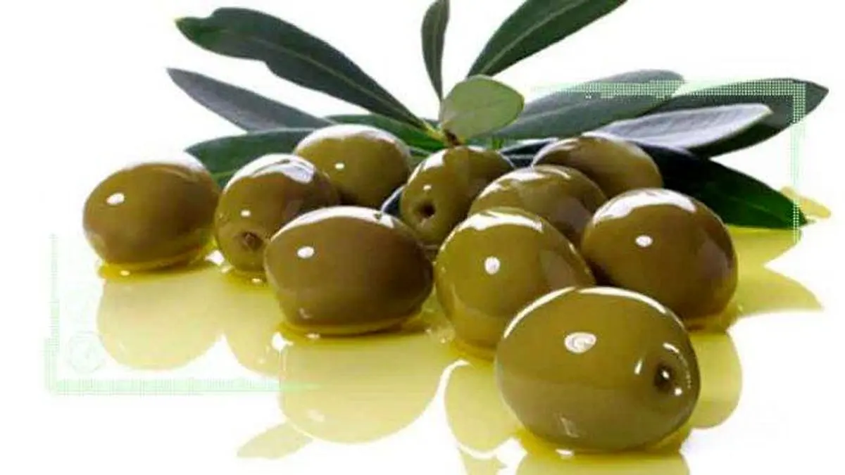 نیازی به واردات روغن زیتون نداریم