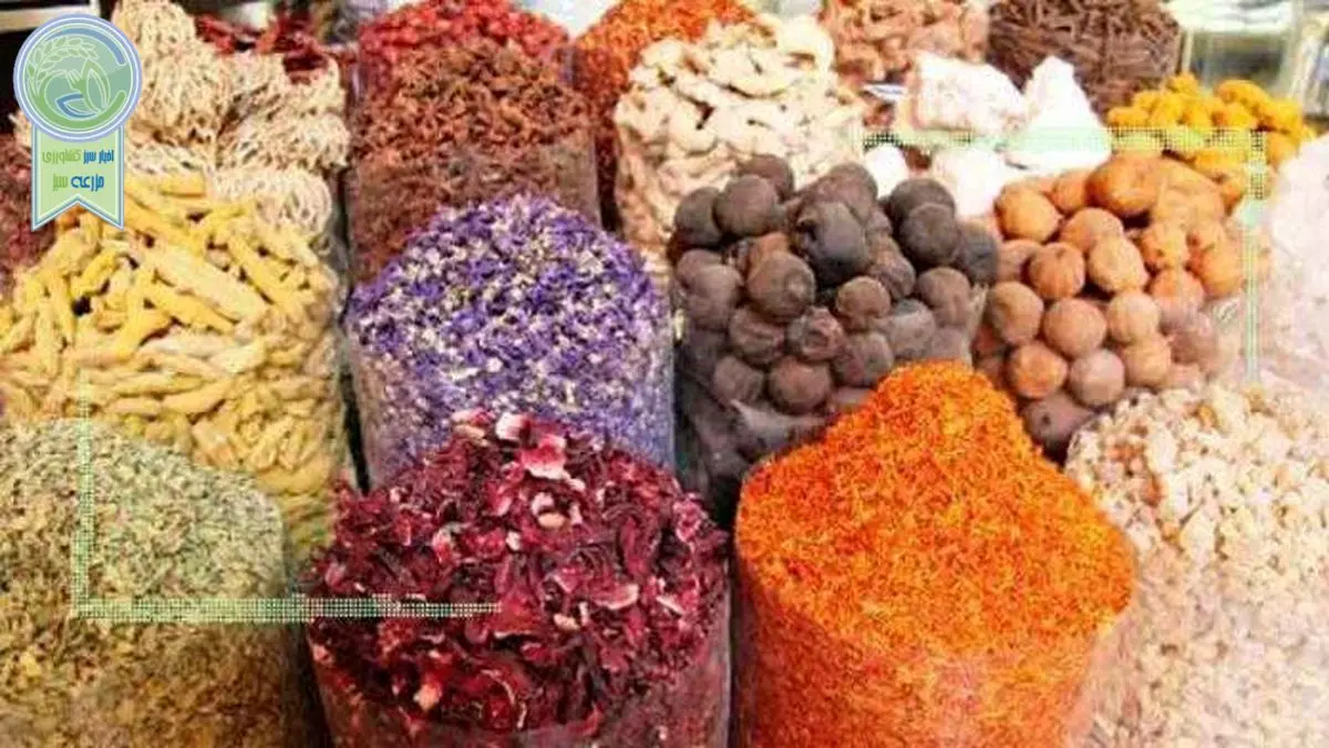 ظرفیت بهره‌برداری اقتصادی از ۵۰ گونه گیاهان دارویی