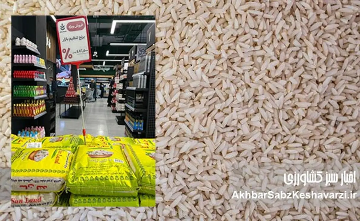 تأخیر ۱۸ ماهه دادستانی بندرعباس در تعیین تکلیف پرونده ۶۰ هزار تن برنج تقلبی و دو برابر قیمت مسعود نمازی