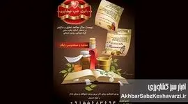 خواص درمانی روغن‌های گیاهی: کشف راز طبیعت برای سلامتی شما!+ جزئیات