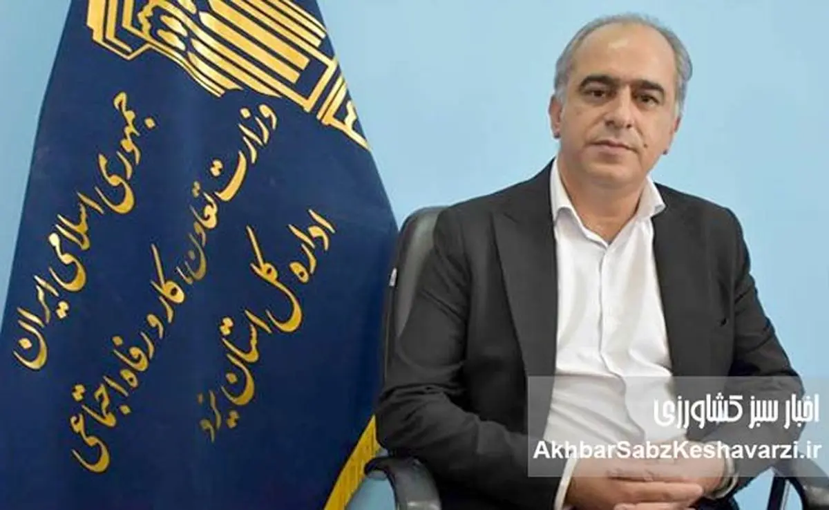 تمرکز اداره کل تعاون، کار و رفاه اجتماعی استان یزد بر سرمایهگذاری برای تولید در سال ۱۴۰۴
