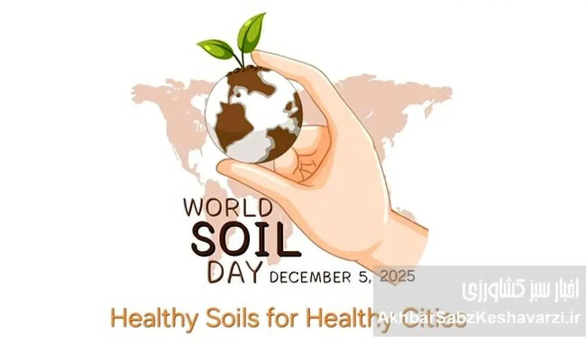 چرا خاک را شخم نزنیم؟+ ویدئو