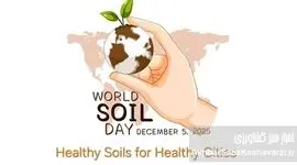 چرا خاک را شخم نزنیم؟+ ویدئو