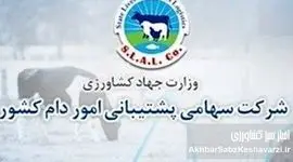 تکذیبیه رسمی شرکت پشتیبانی امور دام کشور: شفافیت کامل در برگزاری مناقصه شماره م/۱۴۰۴/۶۲