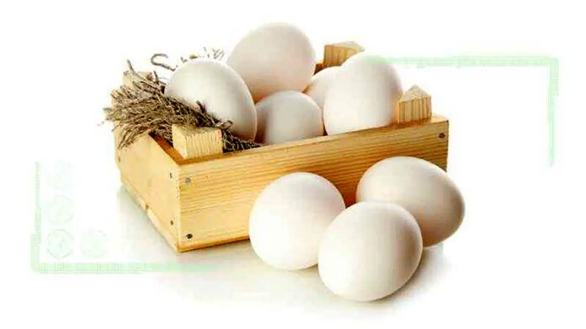 افزایش ۱۰۰ هزارتنی تولید تخم مرغ