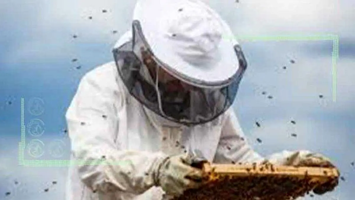 ثبت ۸۵ درصد اطلاعات زنبورداران در کشور