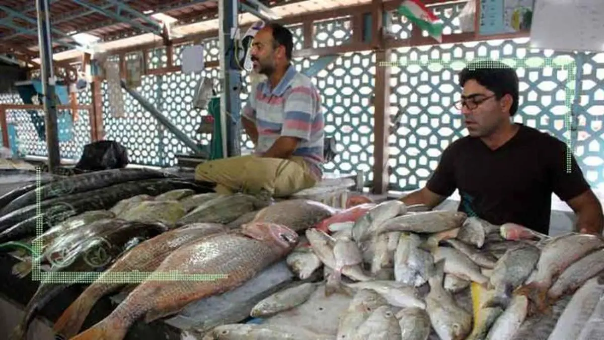 قیمت انواع ماهی در ۹ آذر ۱۴۰۱