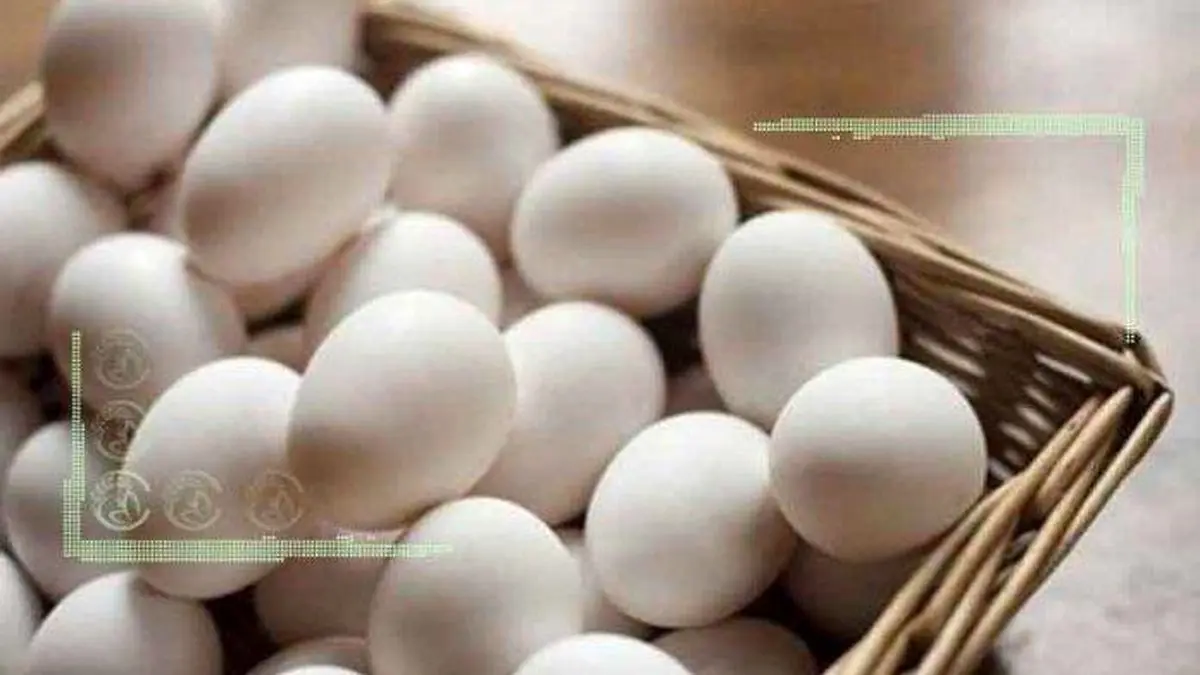 سرانه مصرف تخم‌مرغ ۱۵ کیلو شد