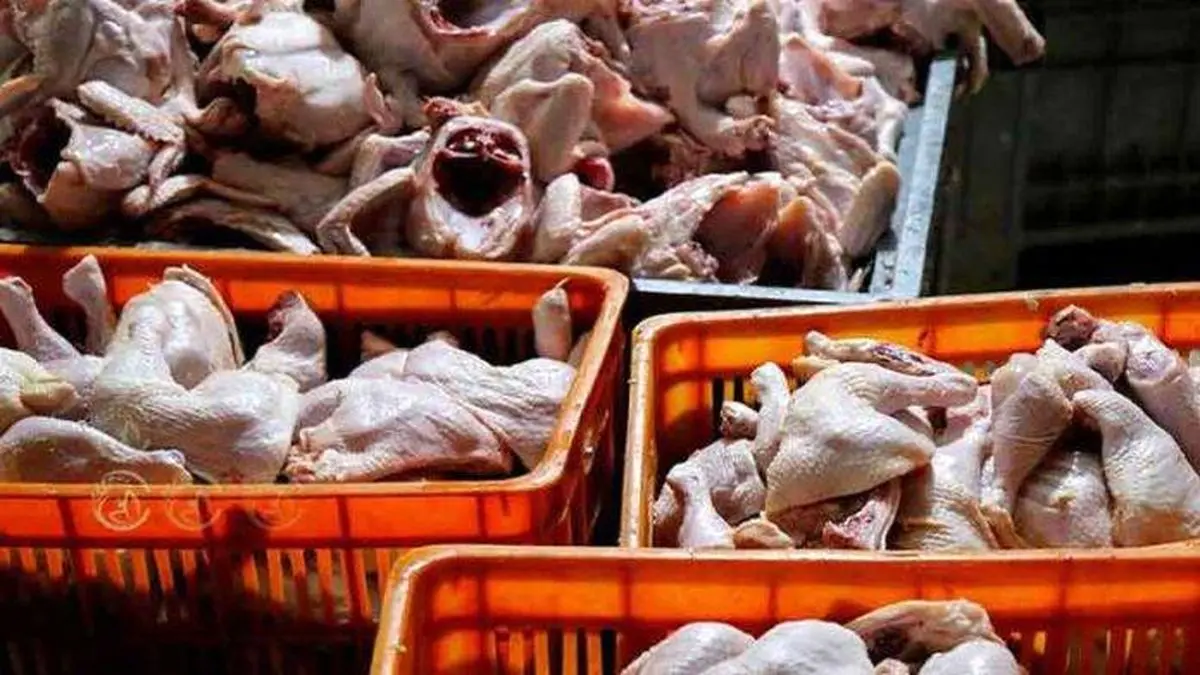 کاهش ۱۹.۵ درصدی قیمت مرغ در یک‌ماه