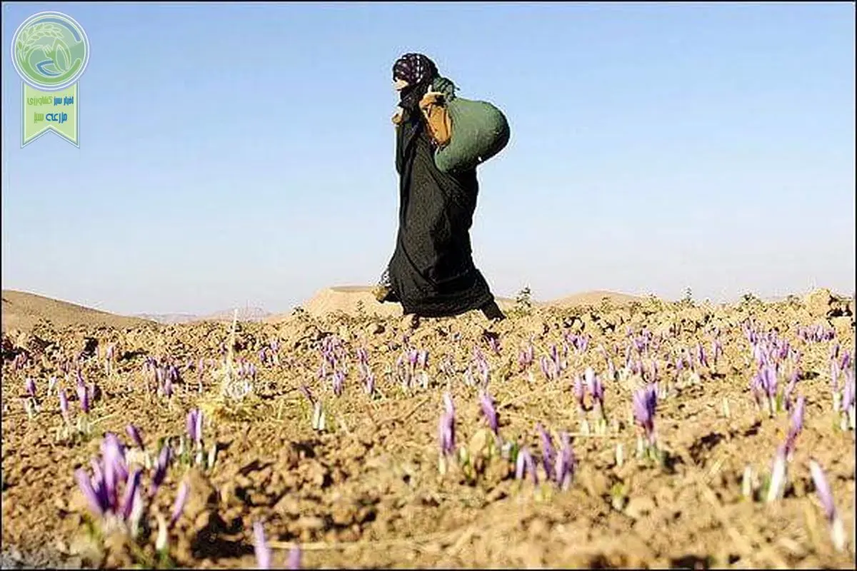 روز جهانی زنان روستایی گرامی باد