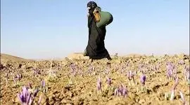 روز جهانی زنان روستایی گرامی باد