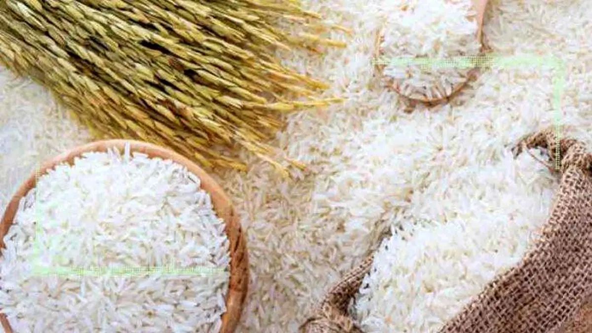 واردات ۴۰۰ هزار تن برنج برای تنظیم بازار عید