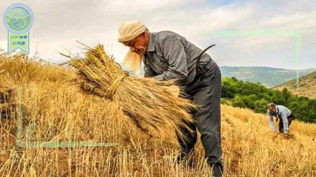 ترغیب کشاورزان به سپرده‌گذاری با افزایش سود بانکی