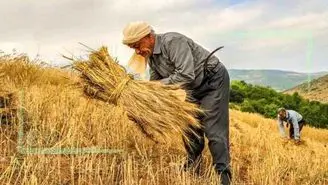 ترغیب کشاورزان به سپرده‌گذاری با افزایش سود بانکی