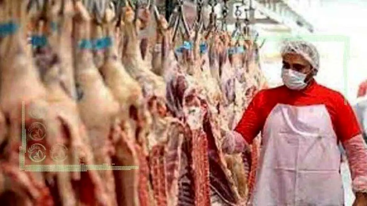 عرضه ذخایر استراتژیک گوشت برای تنظیم بازار