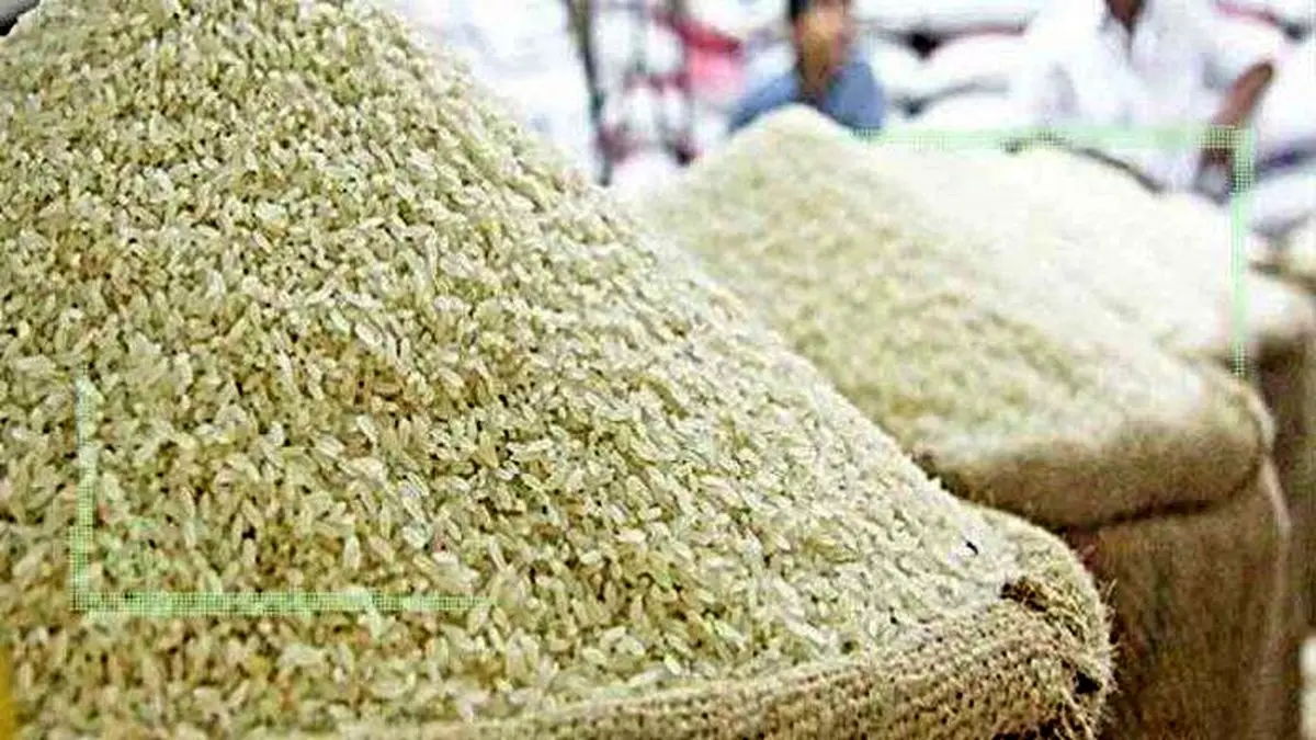 واردات برنج هندی متوقف شد