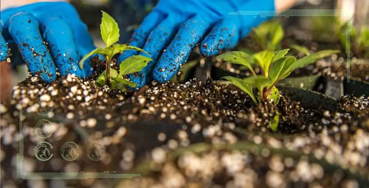 شمارش معکوس_ 3 روز تا نمایشگاه نهادههای کشاورزی