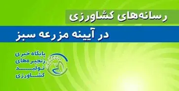 نامعادله قیمت کالاهای اساسی و ارز ۲۸۵ هزار ریالی