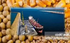 رد پای انحصار در پیوند واردات نهاده با کشاورزی قراردادی | تهدیدی پنهان برای امنیت غذایی ایران