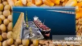 رد پای انحصار در پیوند واردات نهاده با کشاورزی قراردادی | تهدیدی پنهان برای امنیت غذایی ایران